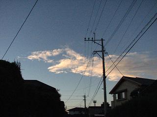 竜に似た朝焼け雲